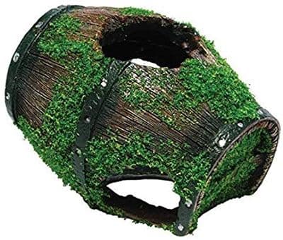 Barrel With Moss
