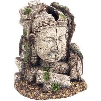 Blue Ribbon Ancient Stone Head Ruins