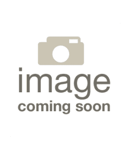 DragonTail Male Betta Fish