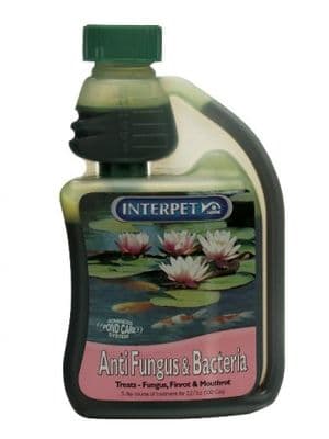 Interpet Anti Fungus & Bacteria 500ml