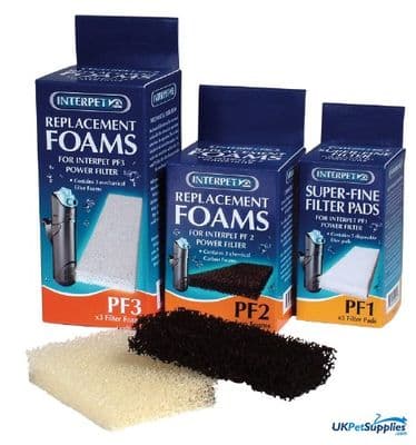 PF1 Plain Foam x3pcs