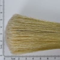 Omega: s.73 'Muccino-Bologna' bristle brush, Size 30