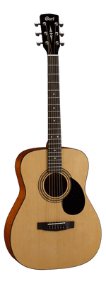 Cort AF510 Inc Gig Bag