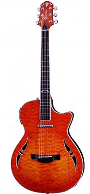 Crafter SA−OMDS - Burst Inc Hard Case