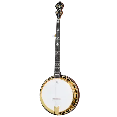 Epiphone Earl Scruggs Golden Deluxe Banjo - Vintage Sunburst