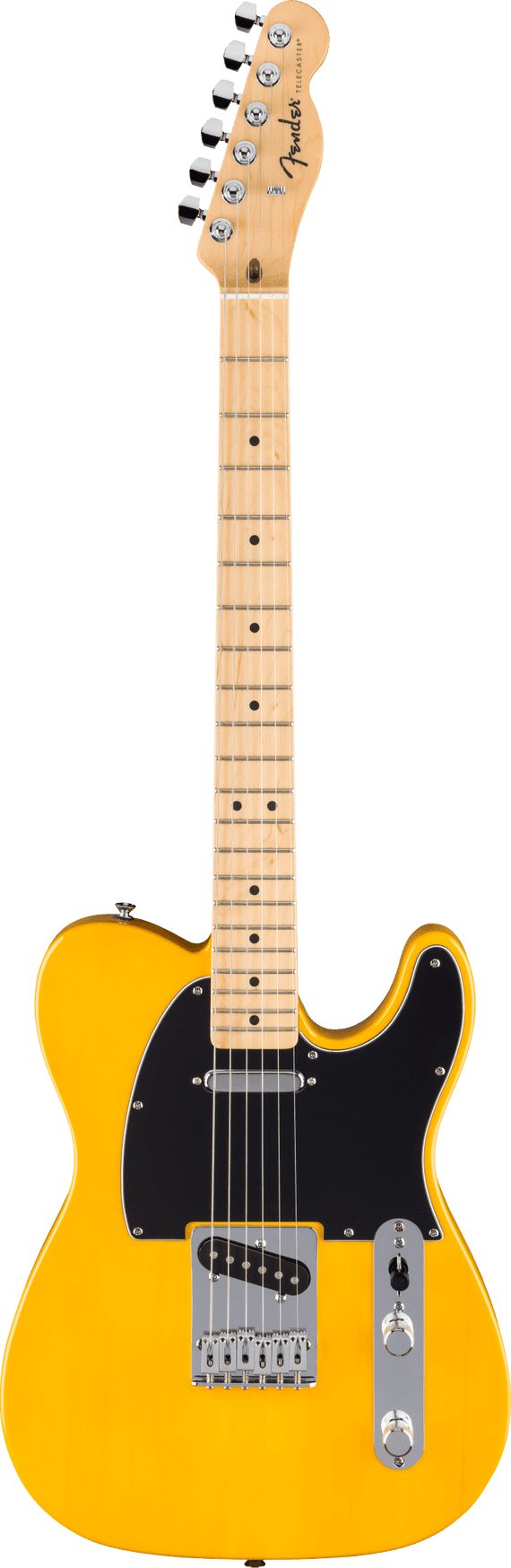 Fender Standard Telecaster - Butterscotch Blonde