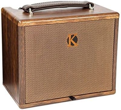 Kinsman KAA45 45 W Acoustic Amplifier