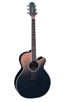 Takamine Ltd 2024 Model