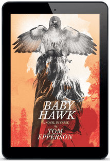 Baby Hawk: A Novel in Verse [eBook] by Tom Epperson
