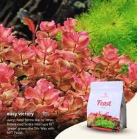 2Hr Aquarist APT Feast Aquarium Soil 2L
