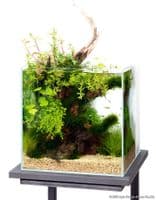 ADA DOOA System Aqua 30