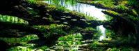 Aquascaping Workshop Ticket - Steven Chong 20th July 2025 SOLD OUT