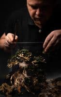 Aquascaping Workshop Ticket - Volker Jochum 11th July  2026 SOLD OUT