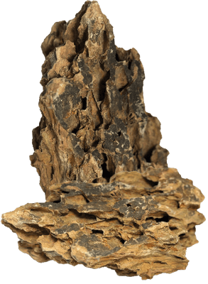 BioArt Dragon Stone Bag 800g