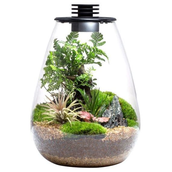 Bioloark Bio Bottle SD175
