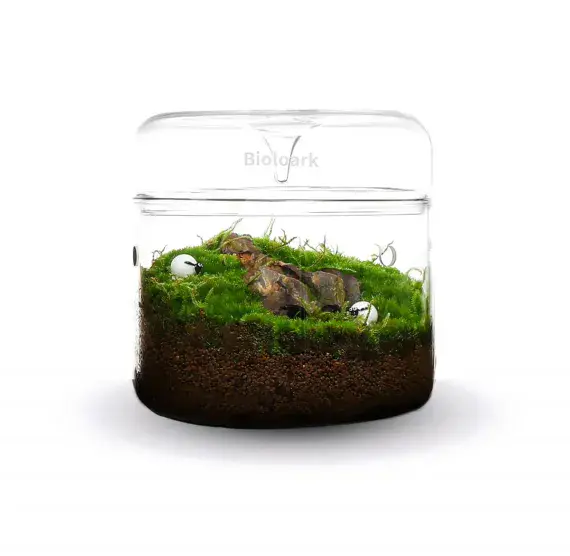 Bioloark Luji Glass Cup MY-150