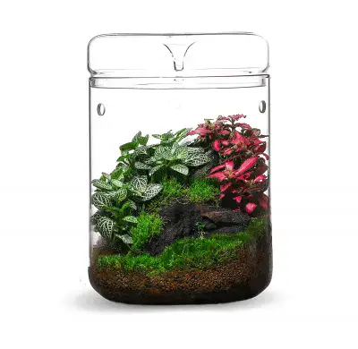 Bioloark Luji Glass Cup MY-150H