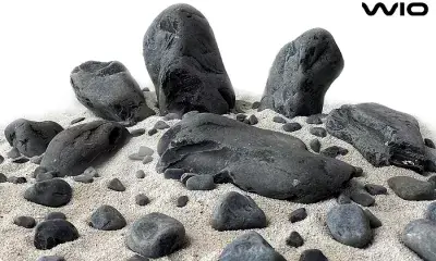 Black Venom BOULDER Stone per KG