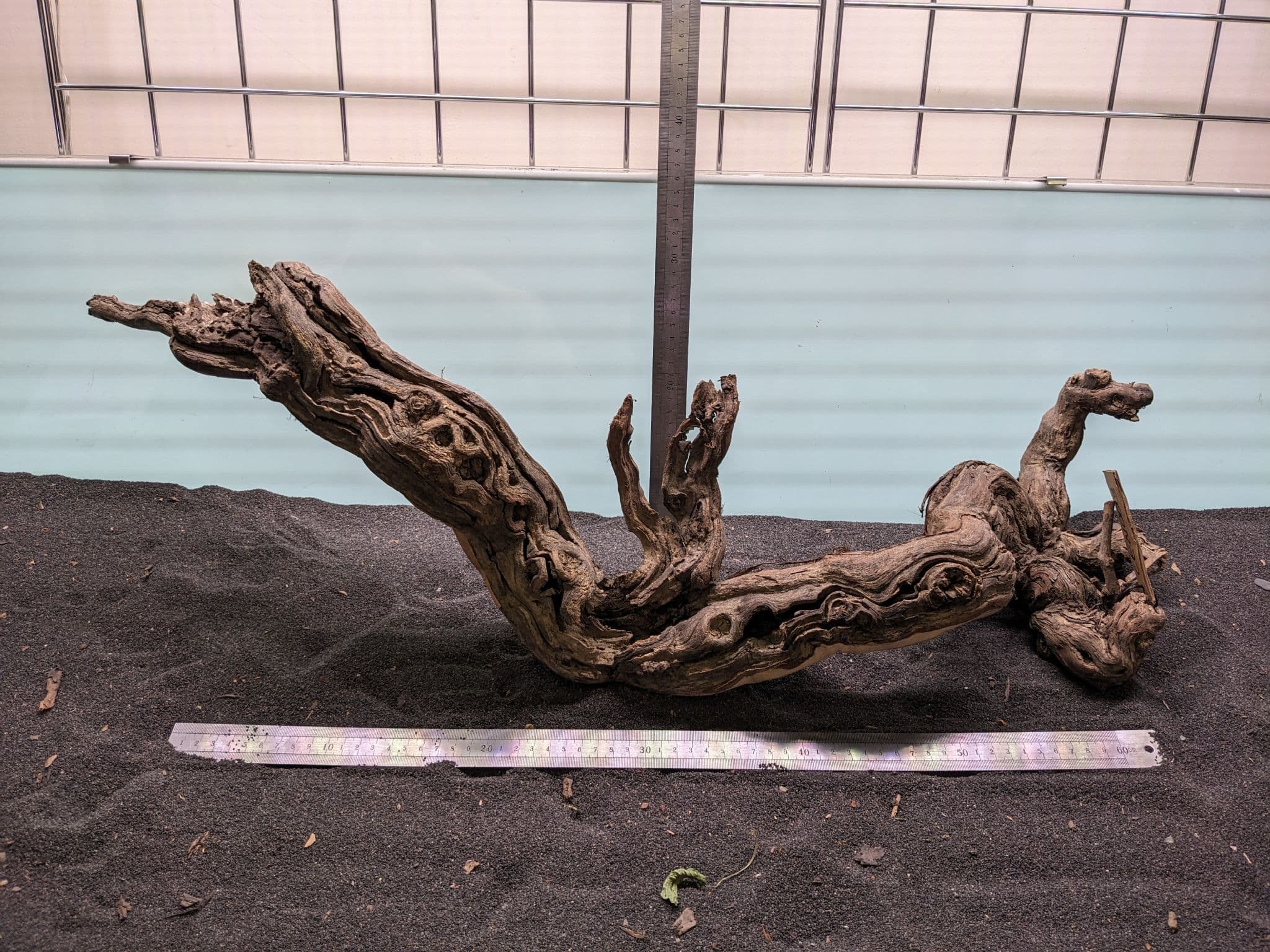 Centurion Wood 83x21cm CEN003