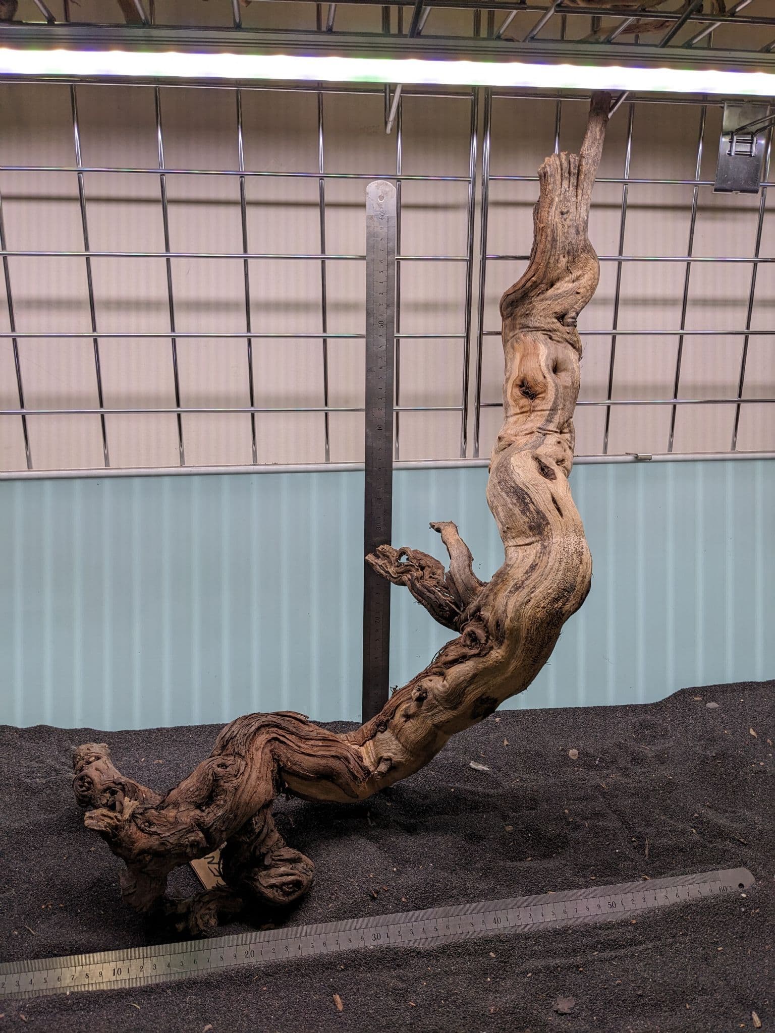 Centurion Wood 83x21cm CEN003