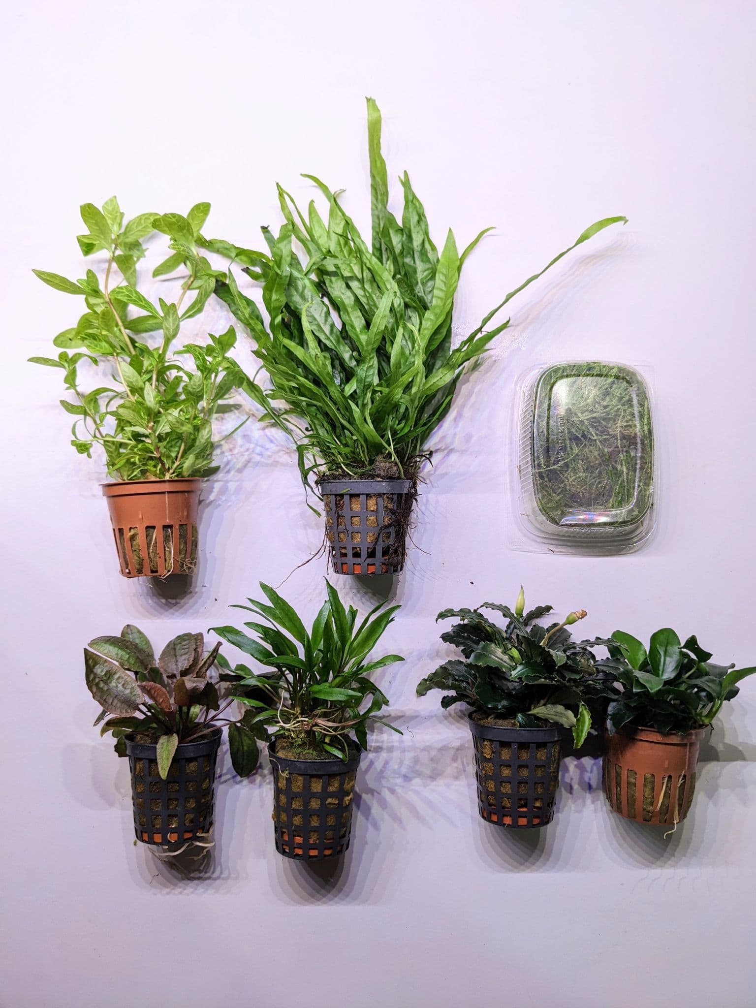 Classic Nature Style Collection for up to 18" Tank