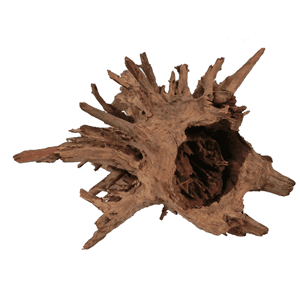 Corbo Catfish Root Extra Large 60-80cm