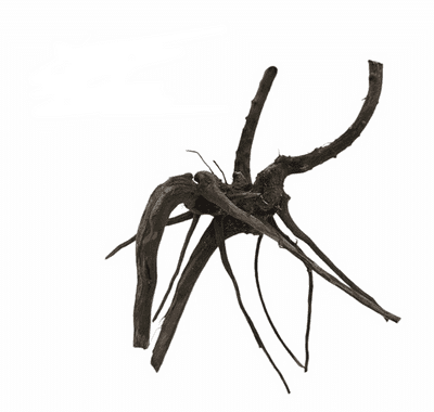 Dark Redmoor Wood (AKA Black Spider Wood) Small 15-25cm