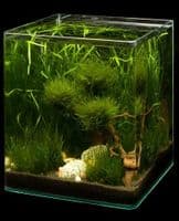 Dennerle Nano Cube White Glass  30L
