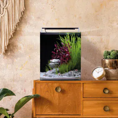 Dennerle Nano Cube Basic 30L Set