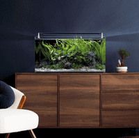 Dennerle Nano Tank  Complete Set 60L, 60x 35x 30cm