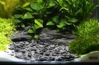 Dennerle  Plantahunter natural gravel - kongo (Baikal) 5kg 10-30mm