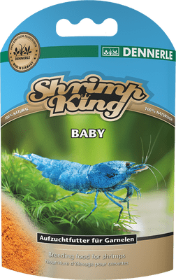 Dennerle Shrimp King Baby