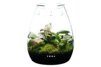 DOOA Glass Pot Shizuku