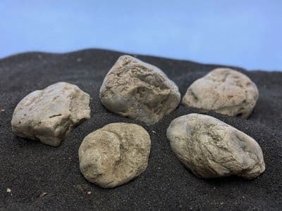 Elderly BOULDER Stone per KG