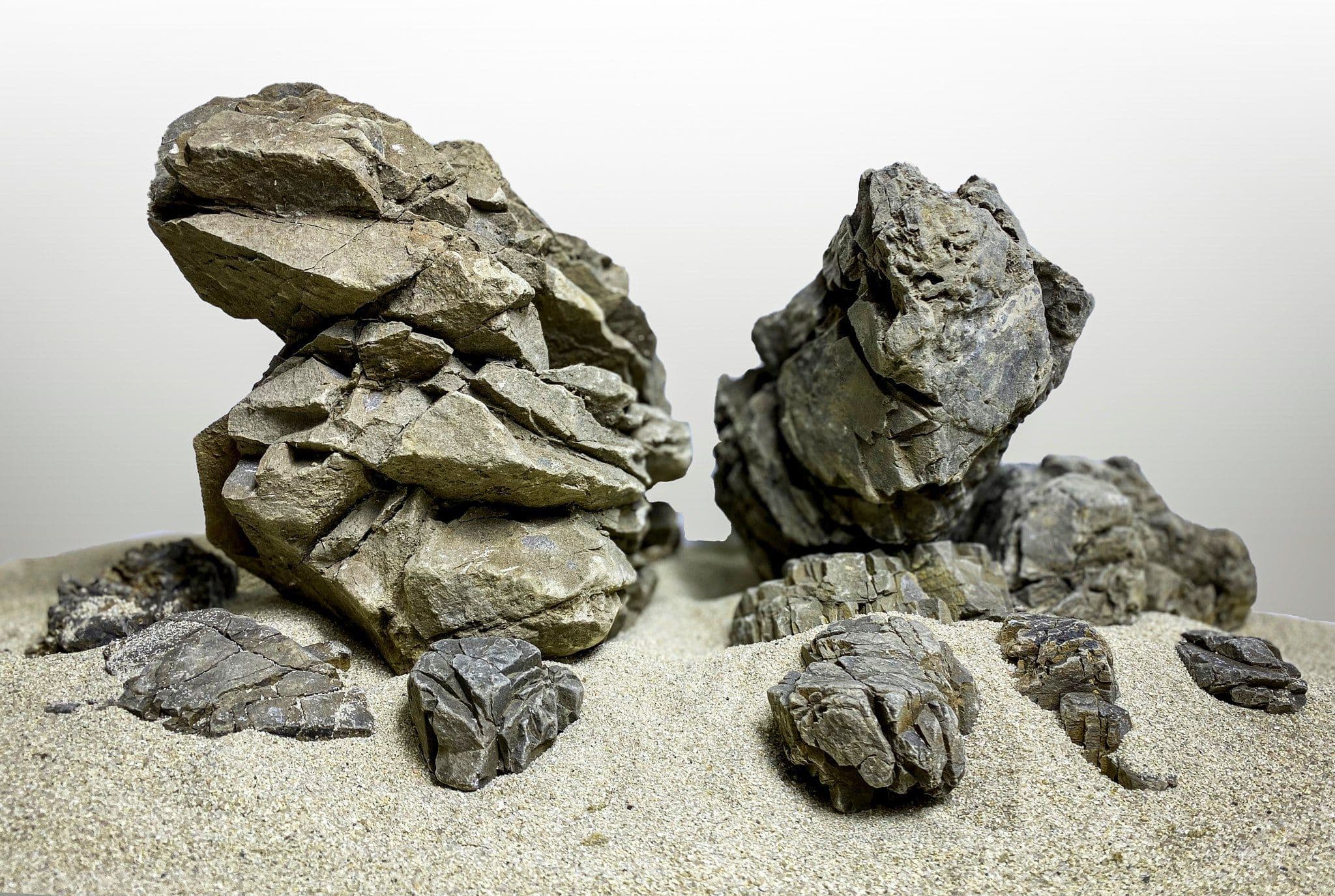 Elderly Stone per KG