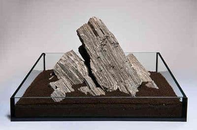 Glimmer Wood Rock per KG