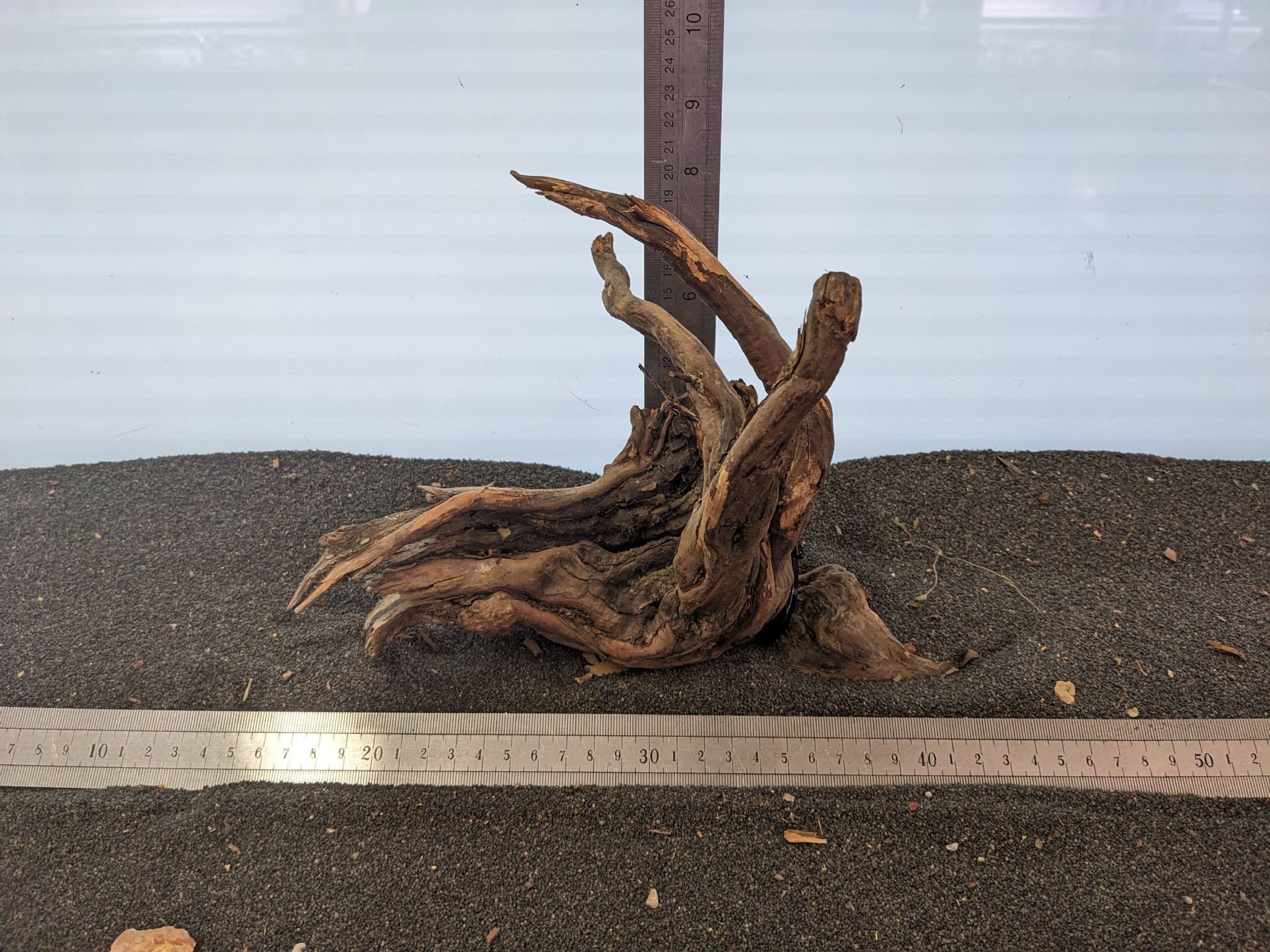 Gnarled Manzanita Wood Small 28x20cm GMZ027