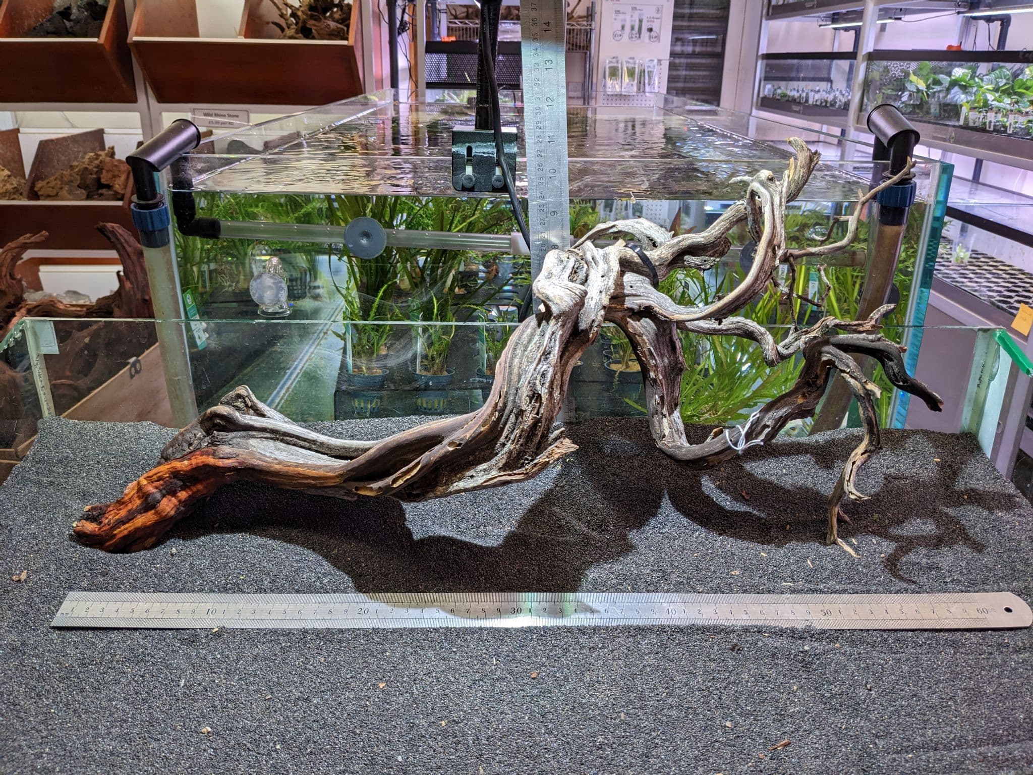 Gnarled Manzanita Wood XL 62x24m GMZXL021