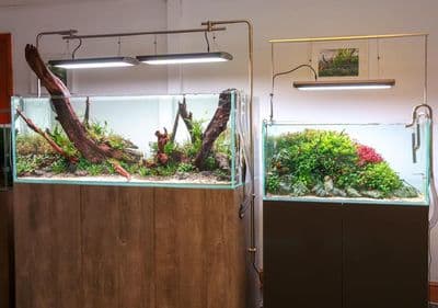 Iquatics Lighting Hanging Kit