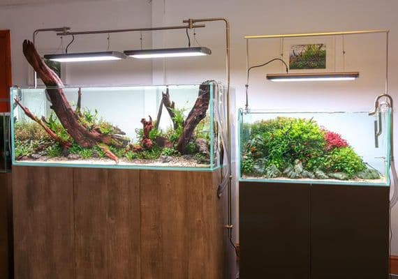 Iquatics Lighting Hanging Kit