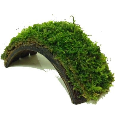 Java Moss on Coconut bracelet