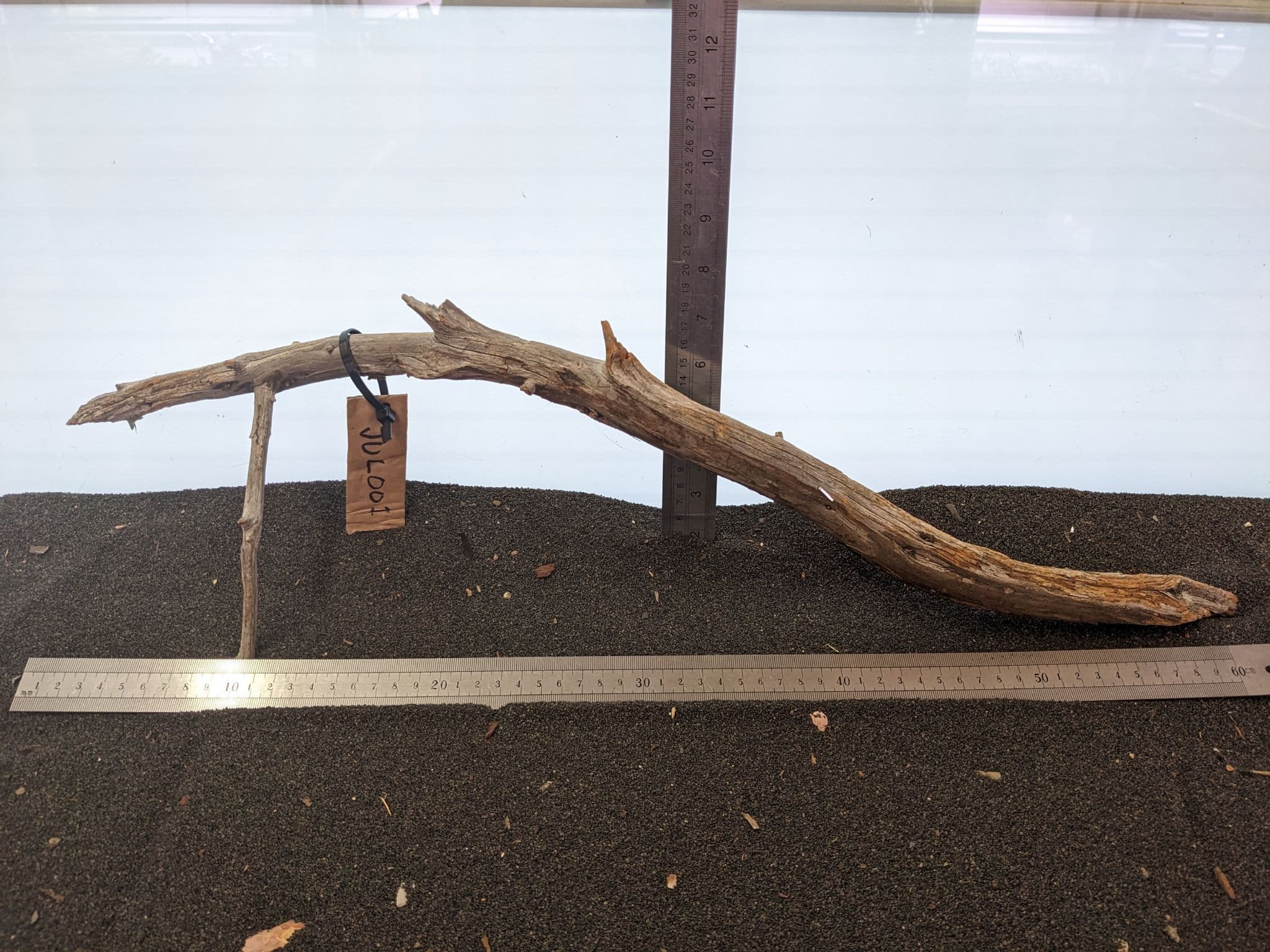 Juniper Wood Large 60x20 JUL001