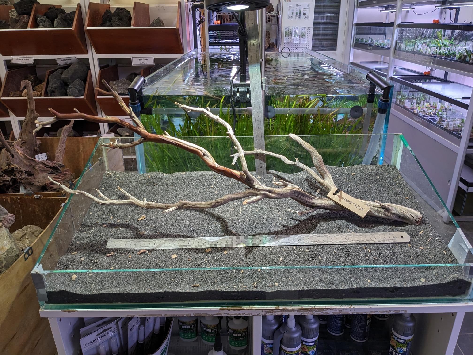 Manzanita Wood Large 80x27 MZL100