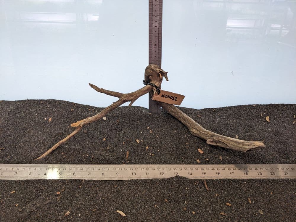 Manzanita Wood Medium 40x15cm MZM012