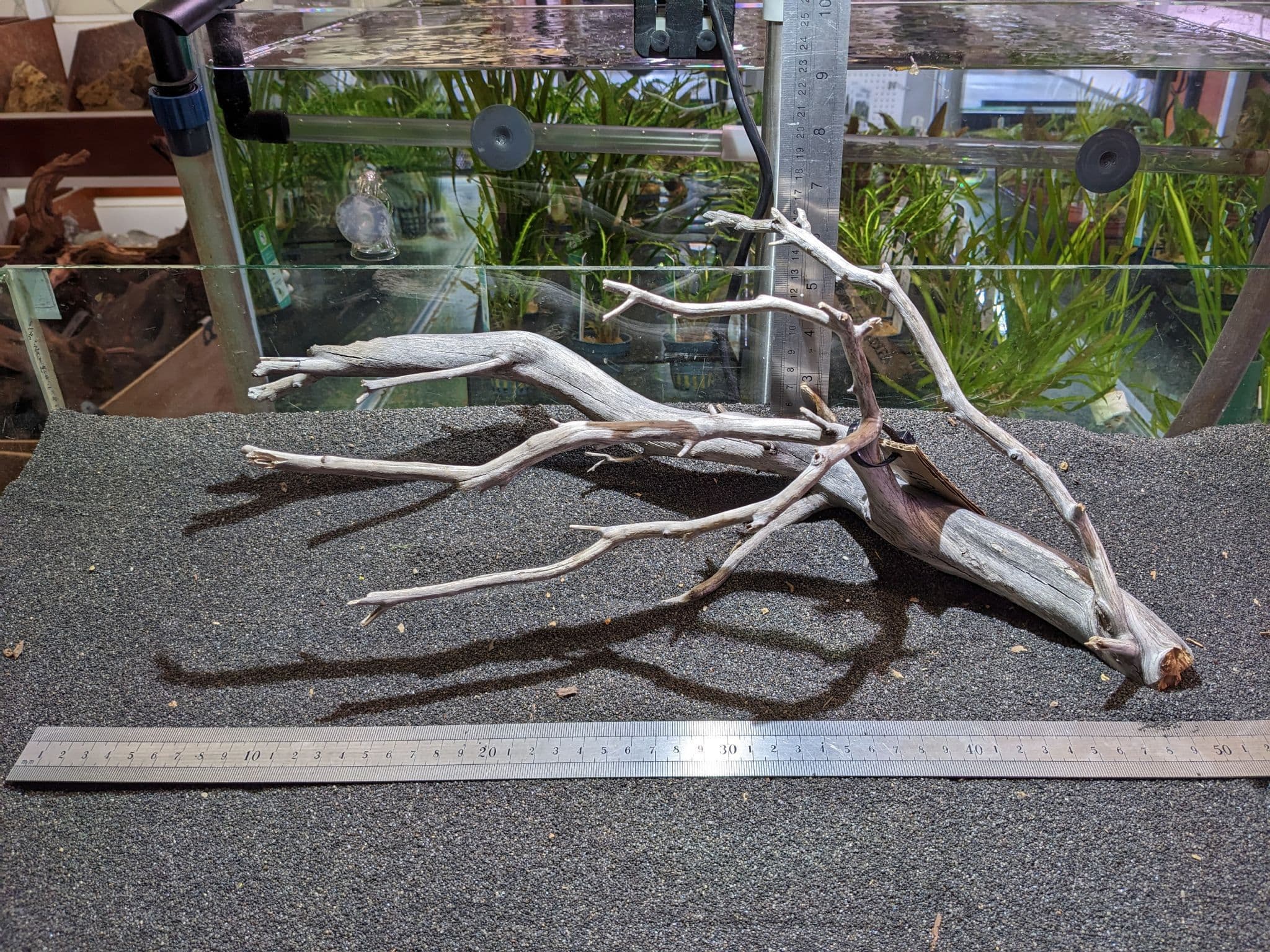 Manzanita Wood Medium 44x25cm MZM019