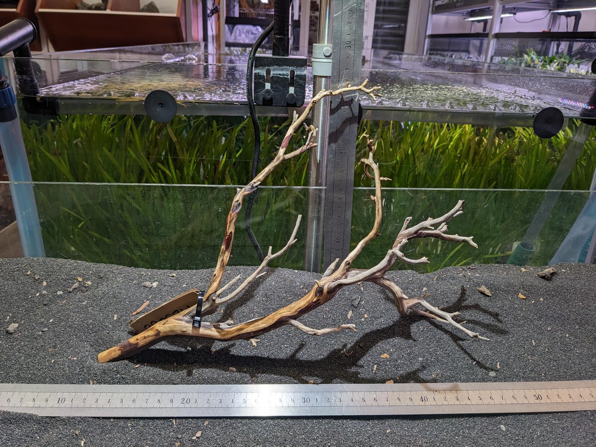 Manzanita Wood Small 35x30 MZS088