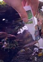 MOSS Scapers Glue - Gel (for plants)