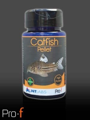 NT Labs Catfish Pellet 60g