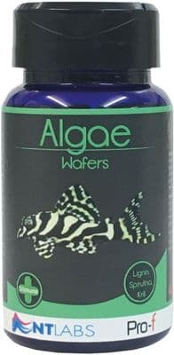 NT Labs Pro-f - Algae Wafers 110g