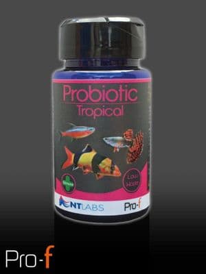 NT Labs Probiotic Tropical 45g